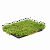 Рулонный многолетник Очиток микс (Sedum mix)